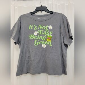 Disney The Muppets 2XL Gray Short Sleeve T-Shirt “It’s Not Easy Being Green”